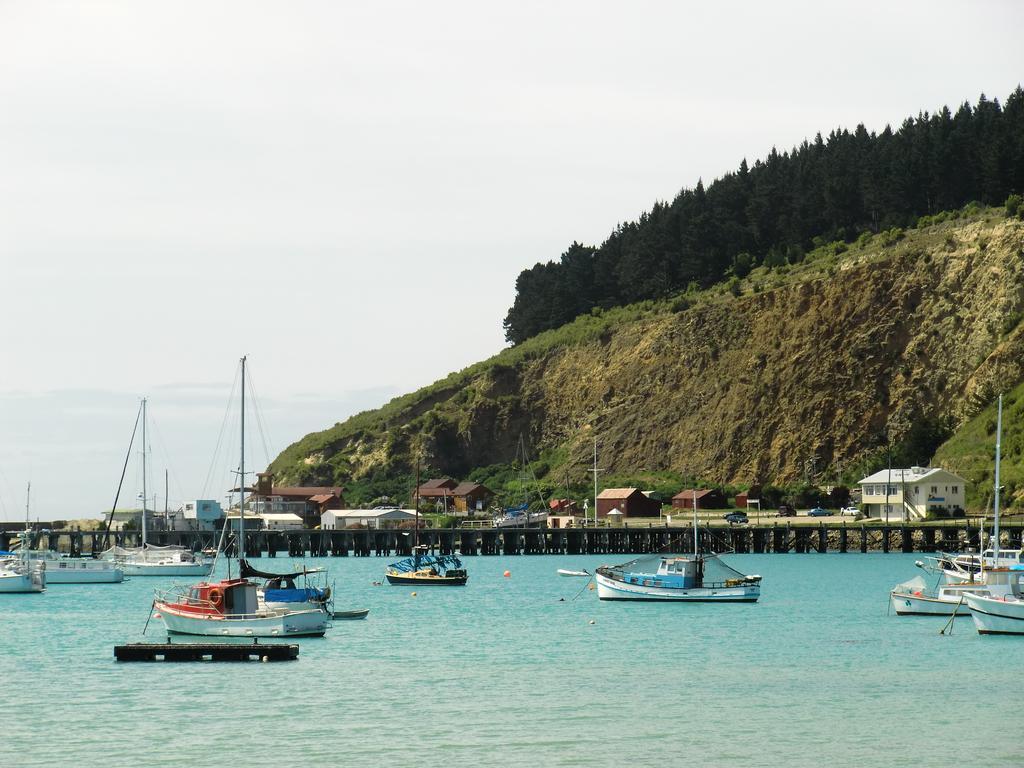 Oamaru Green Cottage 외부 사진